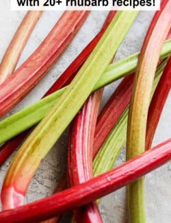 Pinterest image for Rhubarb 101: Everything you need to know about rhubarb, with 20+ rhubarb recipes!