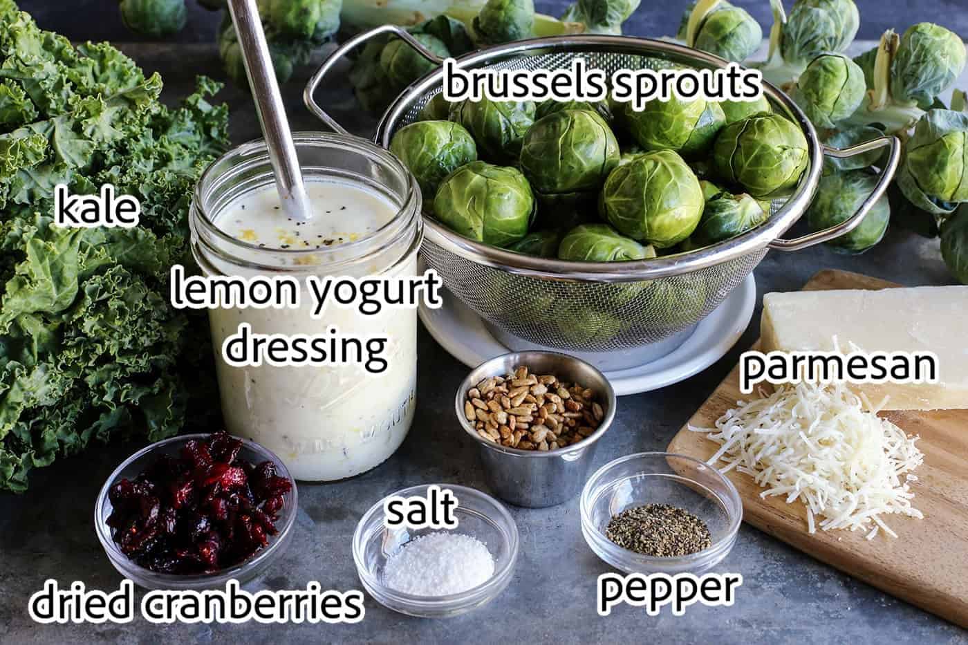 This Shaved Brussels Sprouts Salad has cranberries, sunflower seeds, and Parmesan, with a zippy, creamy dressing. Perfect for the holidays! ingredients needed for shaved brussels sprouts salad.