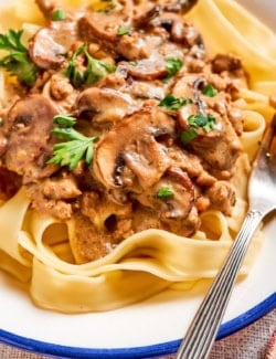 close-up side view of a plate of ground beef stroganoff