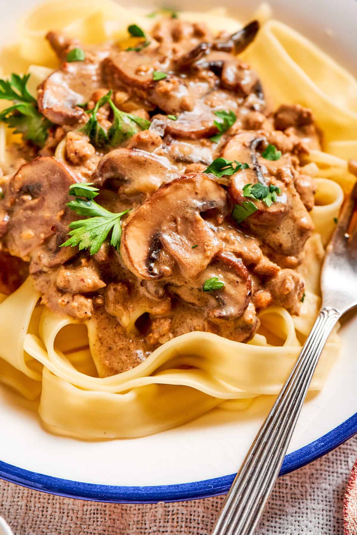 This creamy Ground Beef Stroganoff recipe is made from scratch without canned soup! An easy, budget-friendly dinner your family will love. close-up side view of a plate of ground beef stroganoff