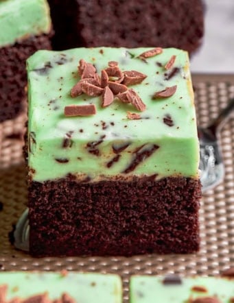 a piece of chocolate cake with mint chocolate chip buttercream frosting