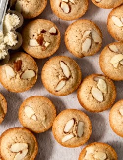Almond financiers on countertop.