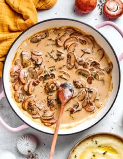 creamy mushroom sauce in a round pink braiser