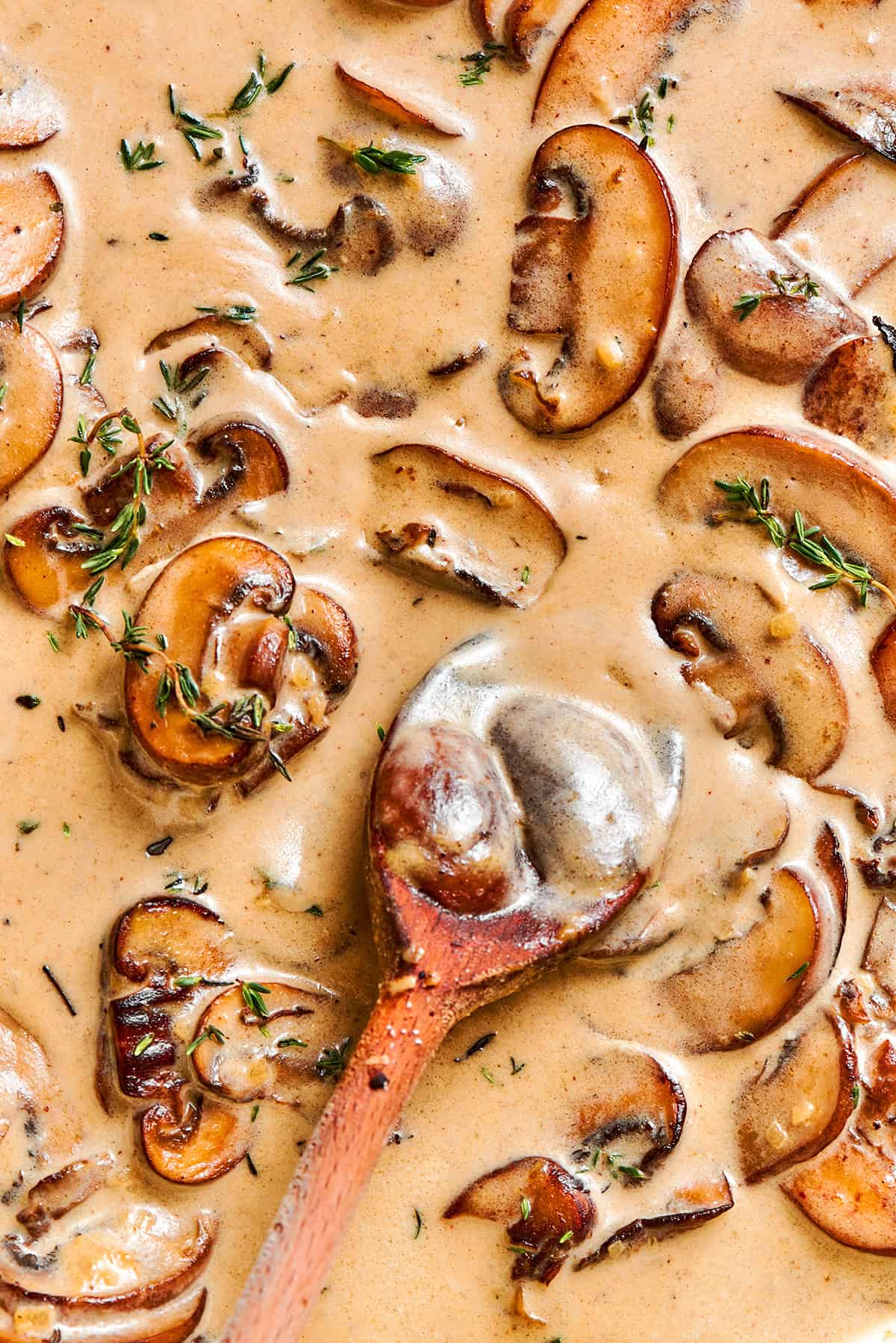 close-up photo of creamy mushroom sauce with a wooden spoon