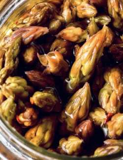 close-up photo looking into a jar of pickled asparagus spears